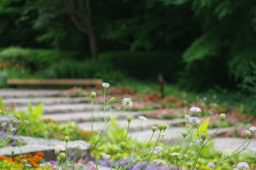 緑景園 9